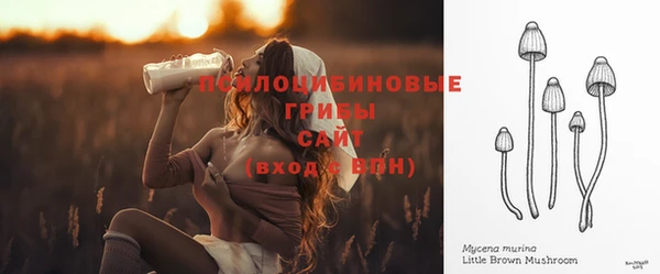 дурь Бронницы