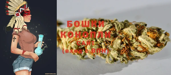 дурь Бронницы