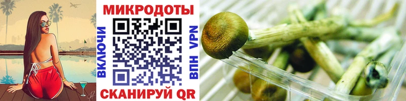 MEGA ссылка  где купить наркотик  Елизово  Псилоцибиновые грибы Psilocybe 